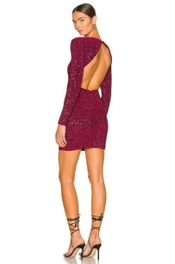 Lovers And Friends Kloss Mini Dress In Maroon Red